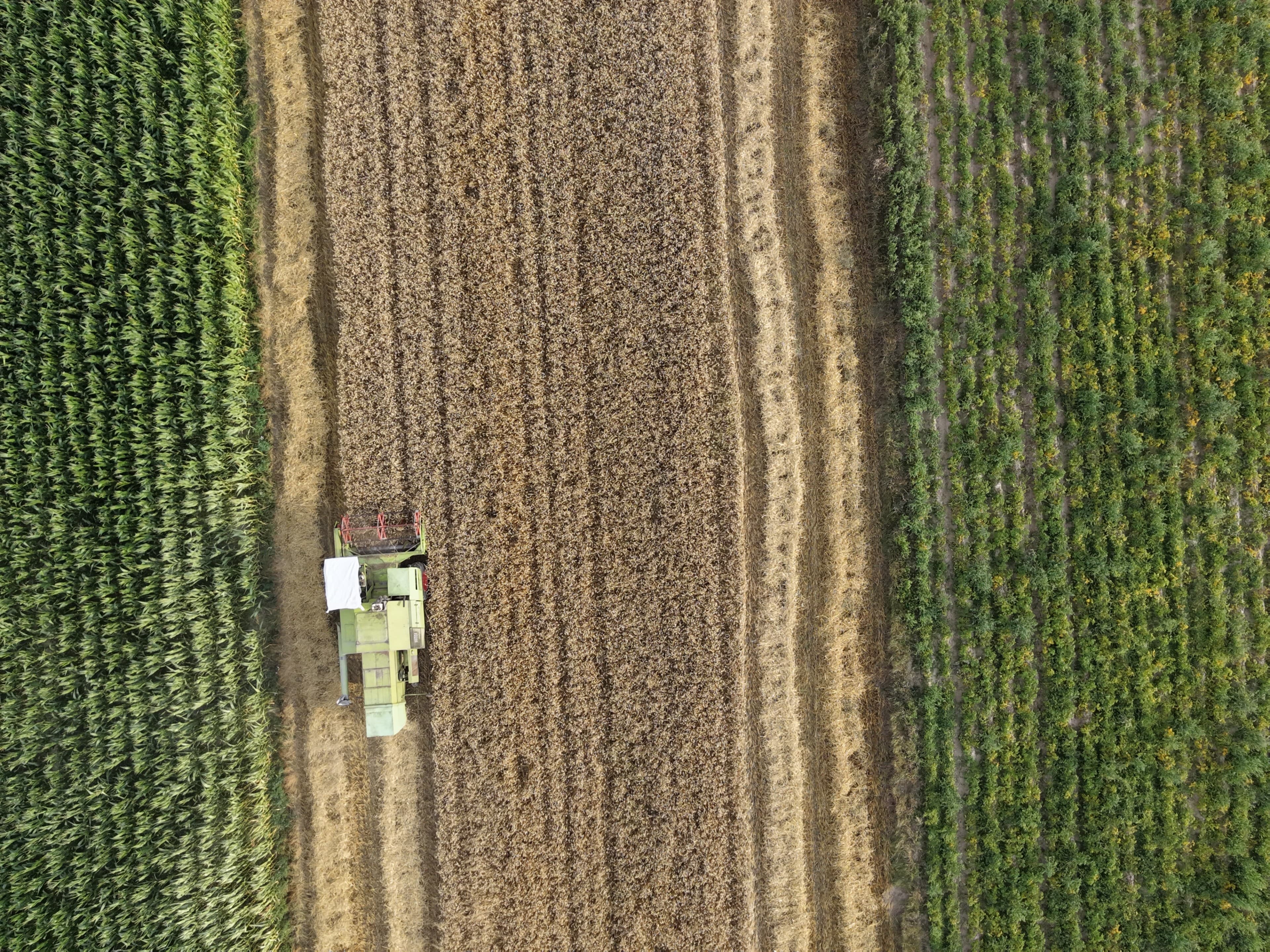 Drone photo from a portfolio on LetsFly. By: Blueish Aero Media.