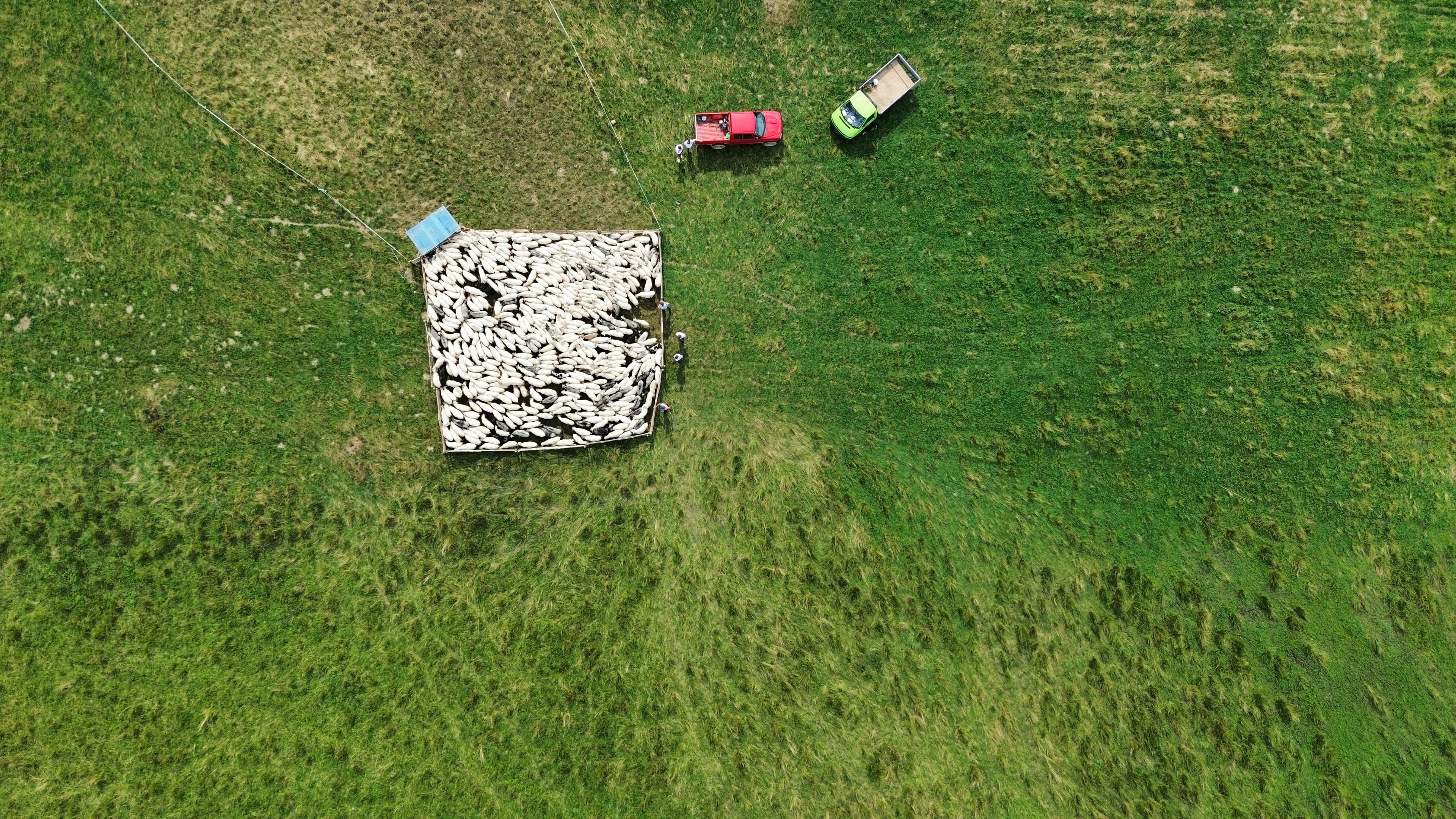 Drone photo from a portfolio on LetsFly. By: Patryk Toczyński.