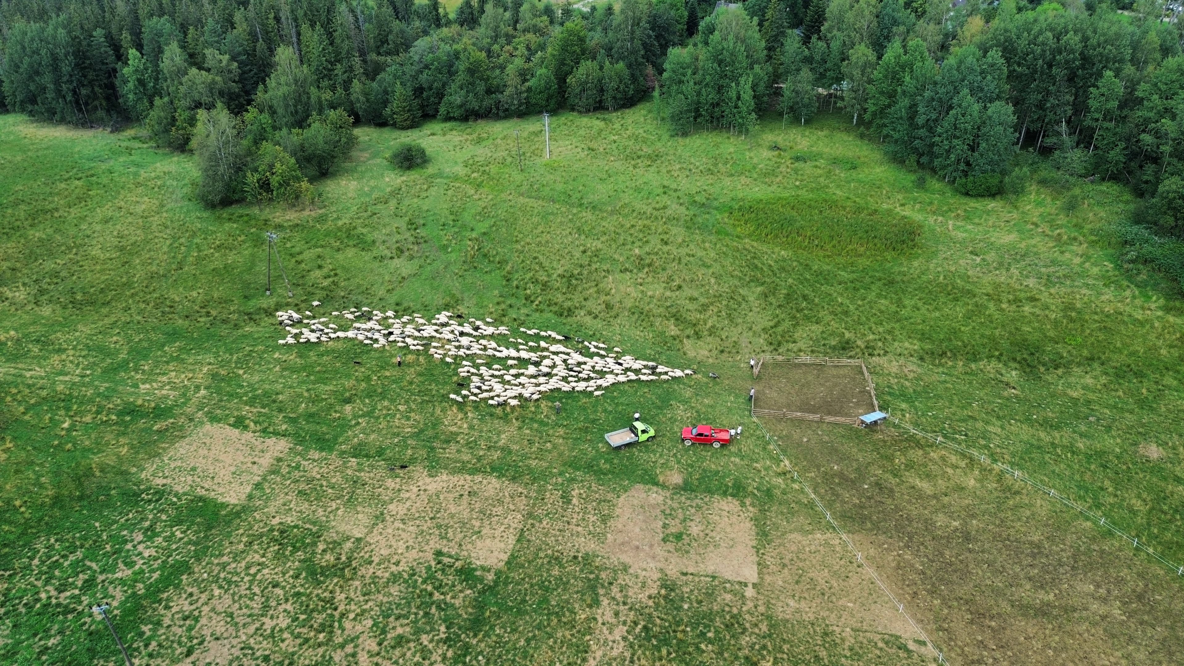 Drone photo from a portfolio on LetsFly. By: Patryk Toczyński.